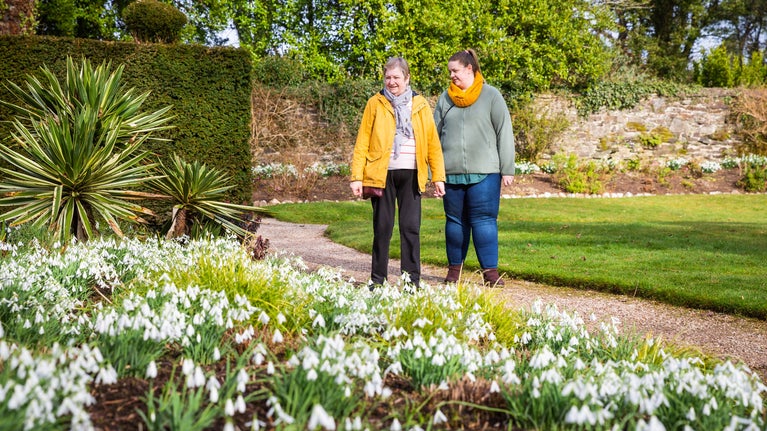 Two visitors walk down the pathways of a walled garden, pausing to admire a flower bed filled with snowdrops in bloom.